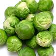 brusselsprouts