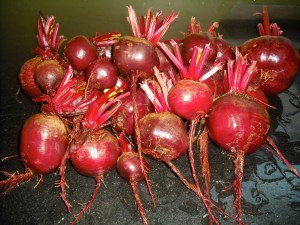 beets1