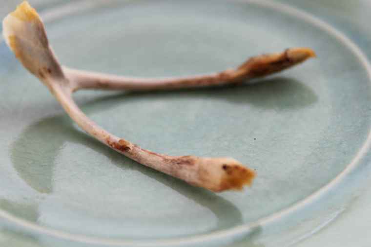 Wishbone